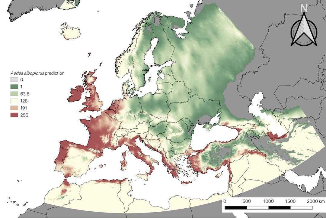 Spread of the Tiger